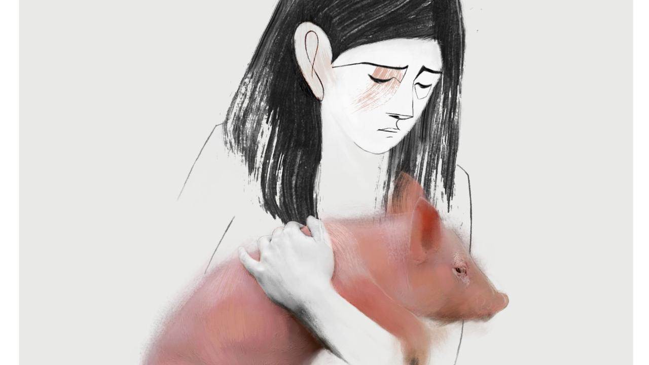 Letter to a Pig