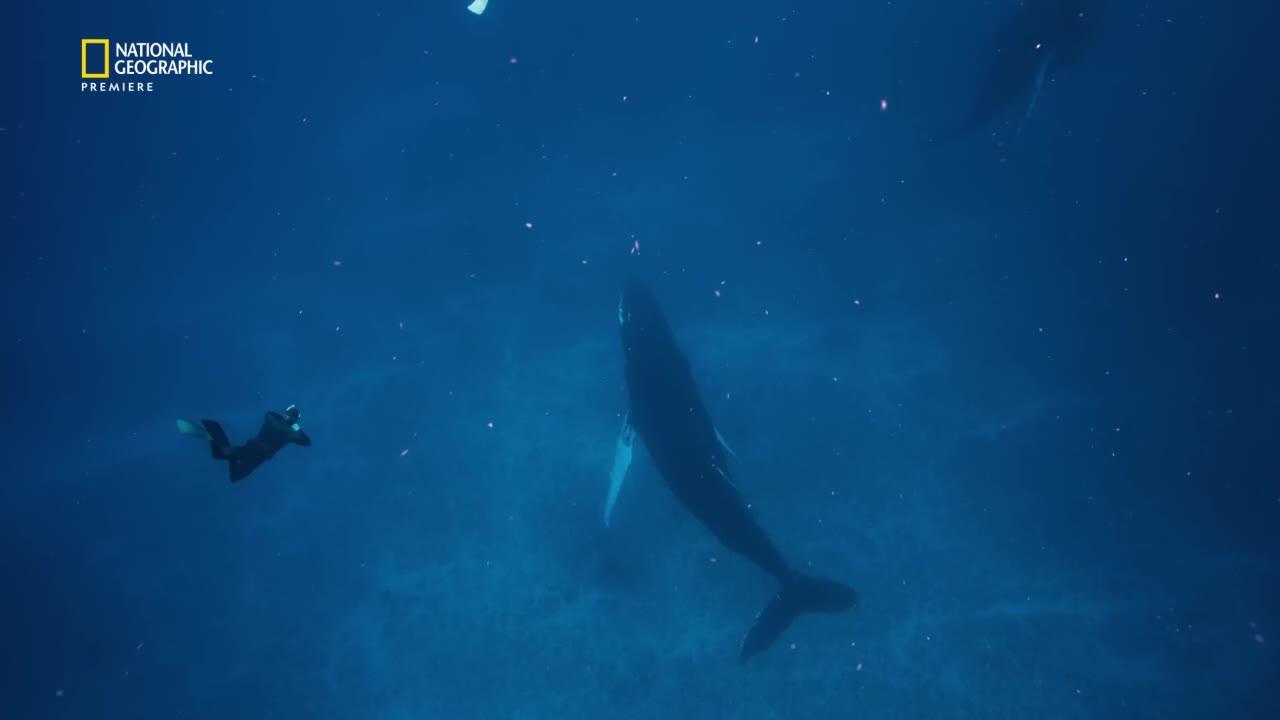 Istraživači oceana (Magistrala mlatova)