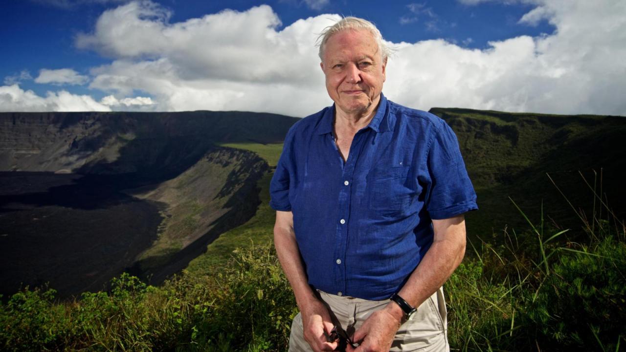 Globalna pustolovina Davida Attenborougha: Uspon prirode (dokumentarna serija)