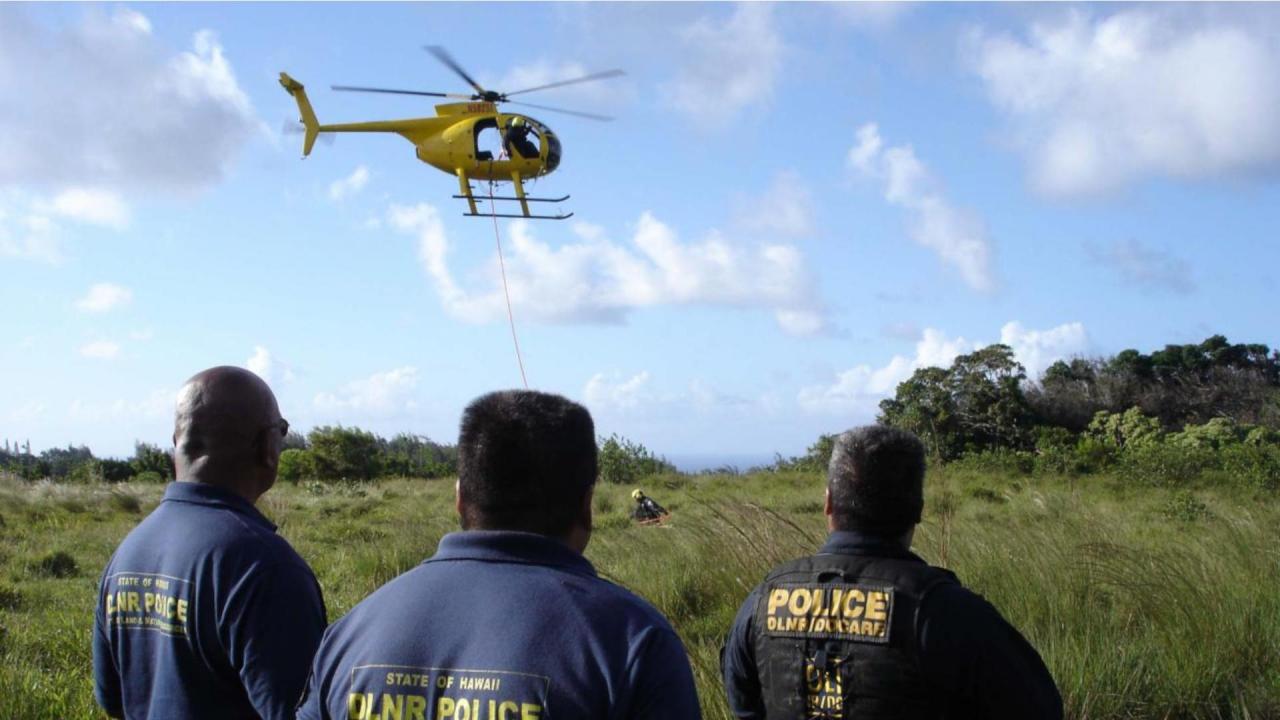 Hawaii - Beachboys On Patrol