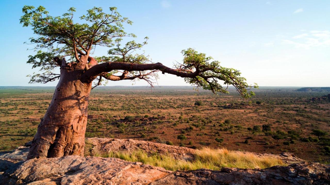 Veličanstvena Afrika (Dolina Luangwe)