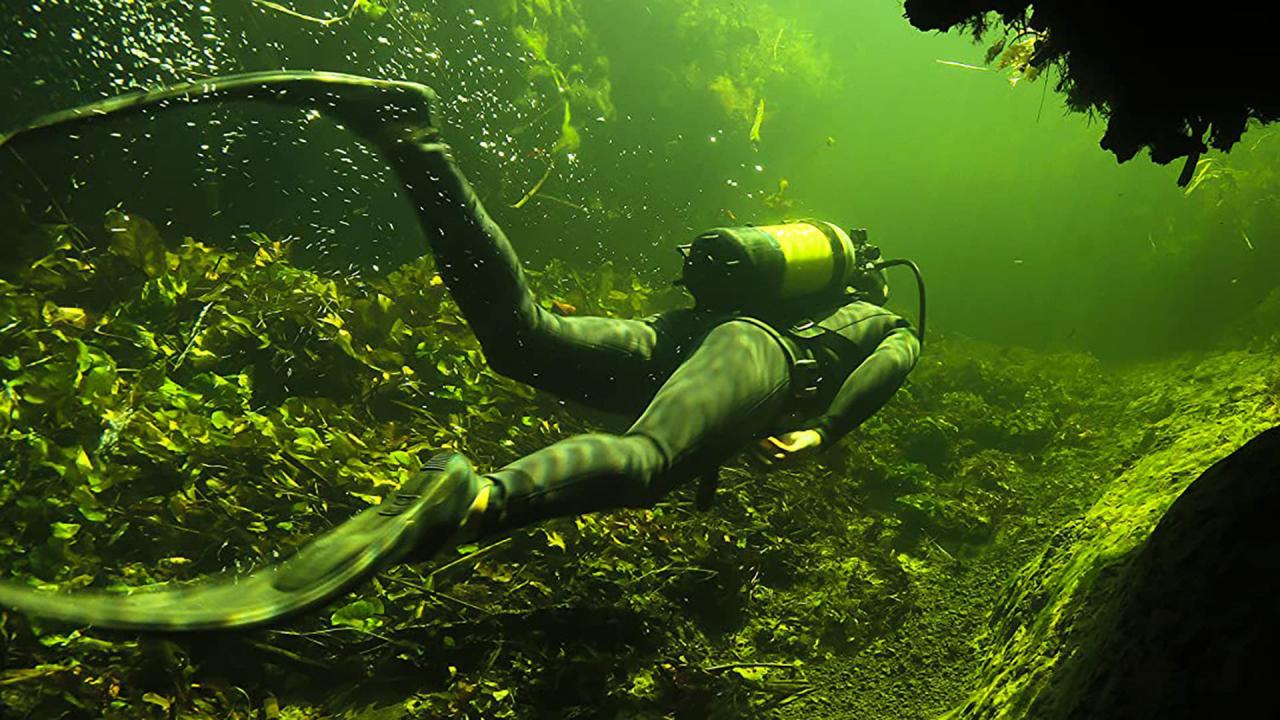 Underwater Okavango