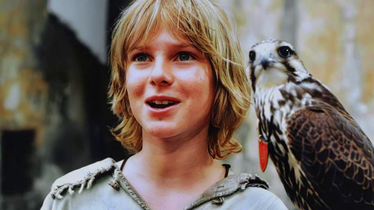 Thomas and the Falcon King