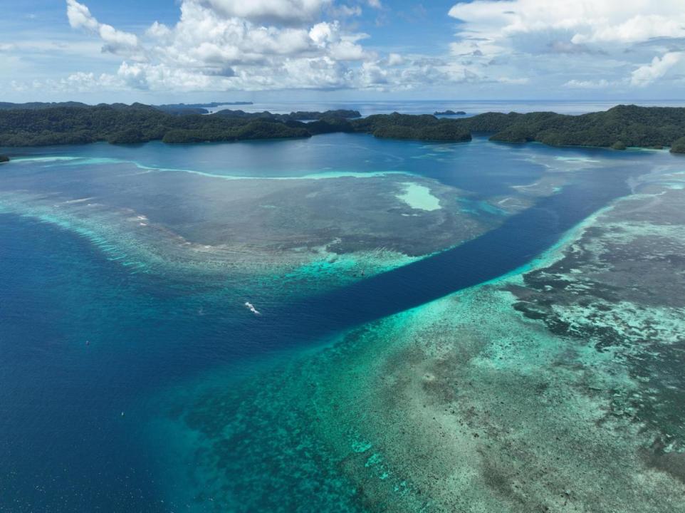 Martin Clunes - Otoci Tihog oceana II (Papua Nova Gvineja)