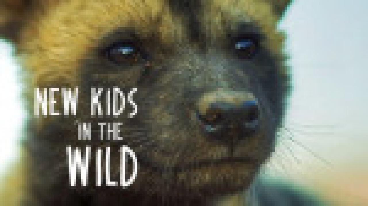 Novi malci u divljini: Obojena vučica Lyca (dokumentarna serija)