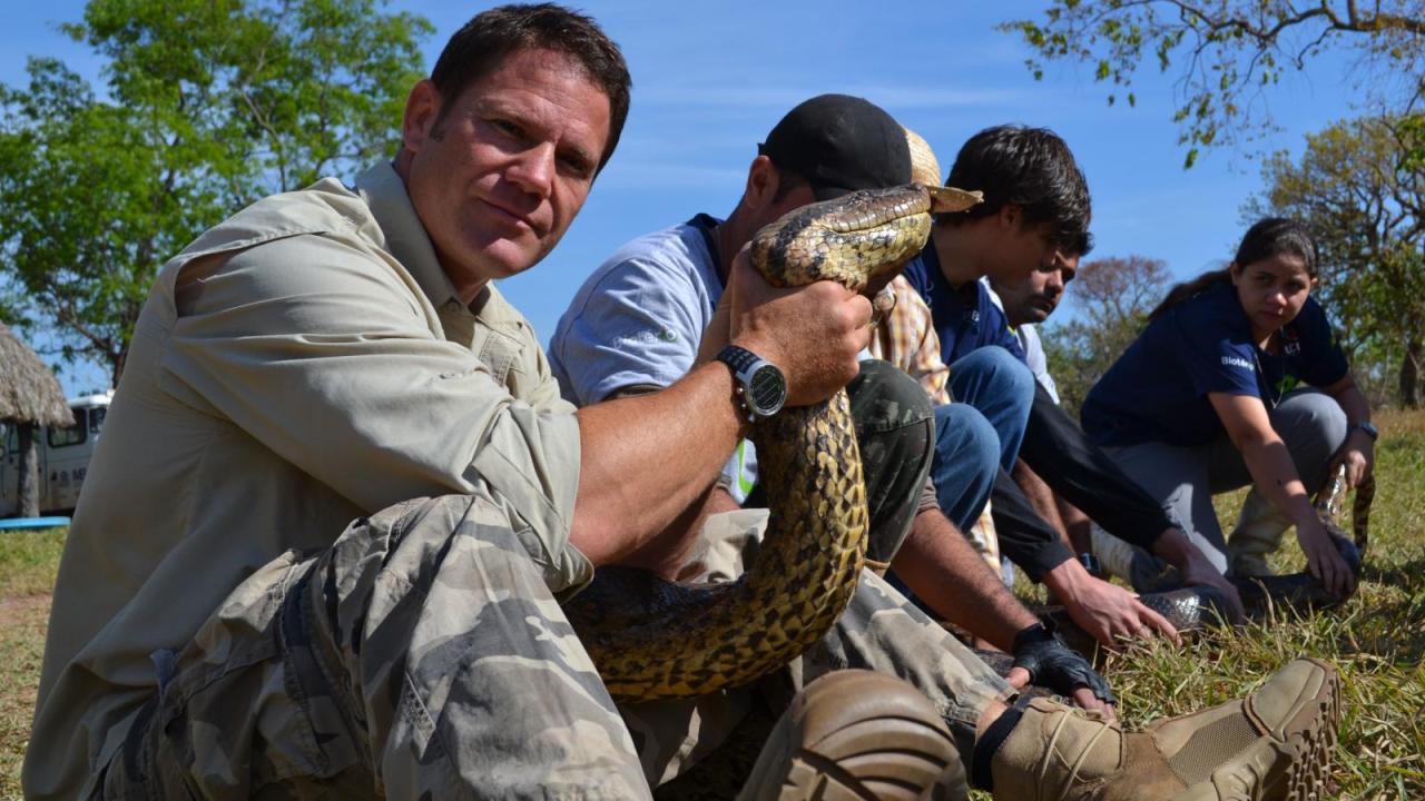 Plivanje s čudovištima: Steve Backshall (Anakonda)