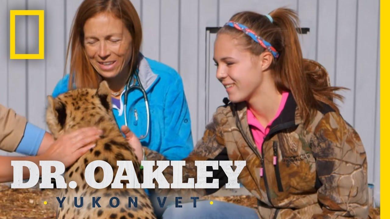 Dr. Oakley: Veterinar iz Yukona