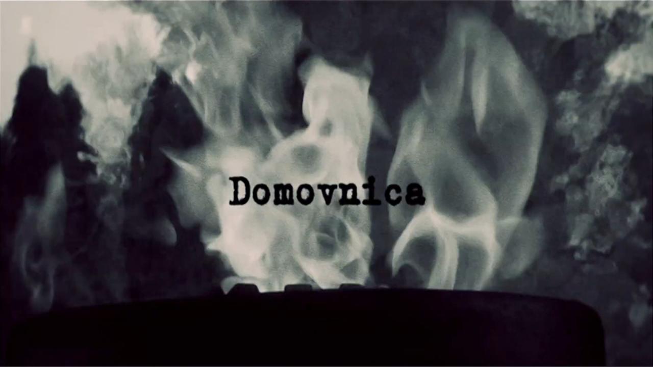 Domovnica