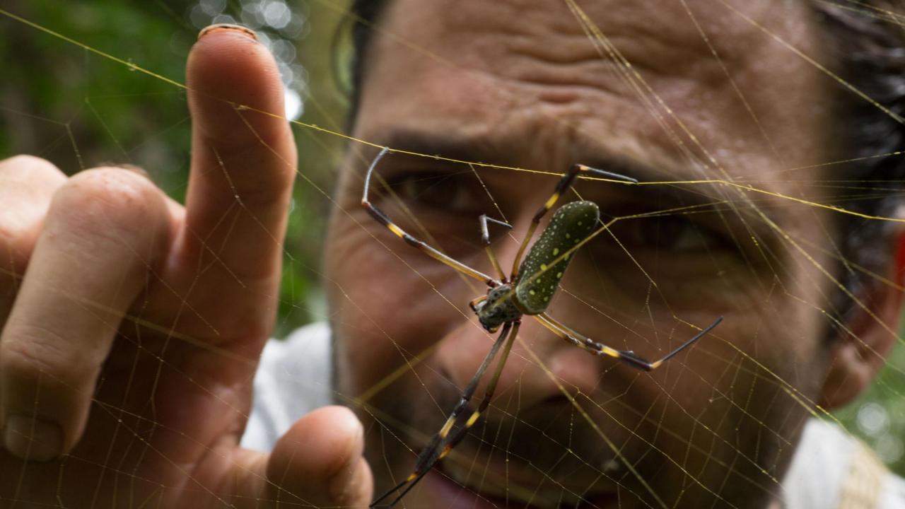 Primitivno preživljavanje: preko Anda (Sve ili ništa)