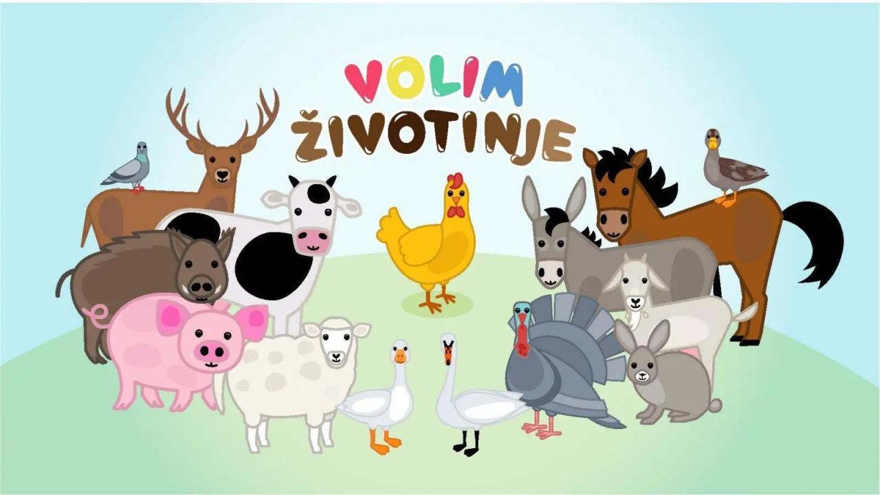 Volim životinje ZOO: Edukacija o životinjama