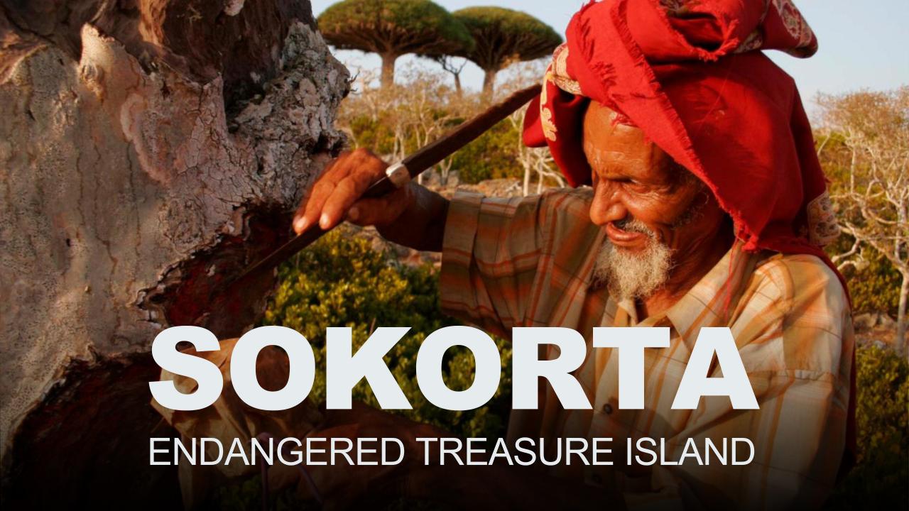 Sokotra: Endangered Treasure Island