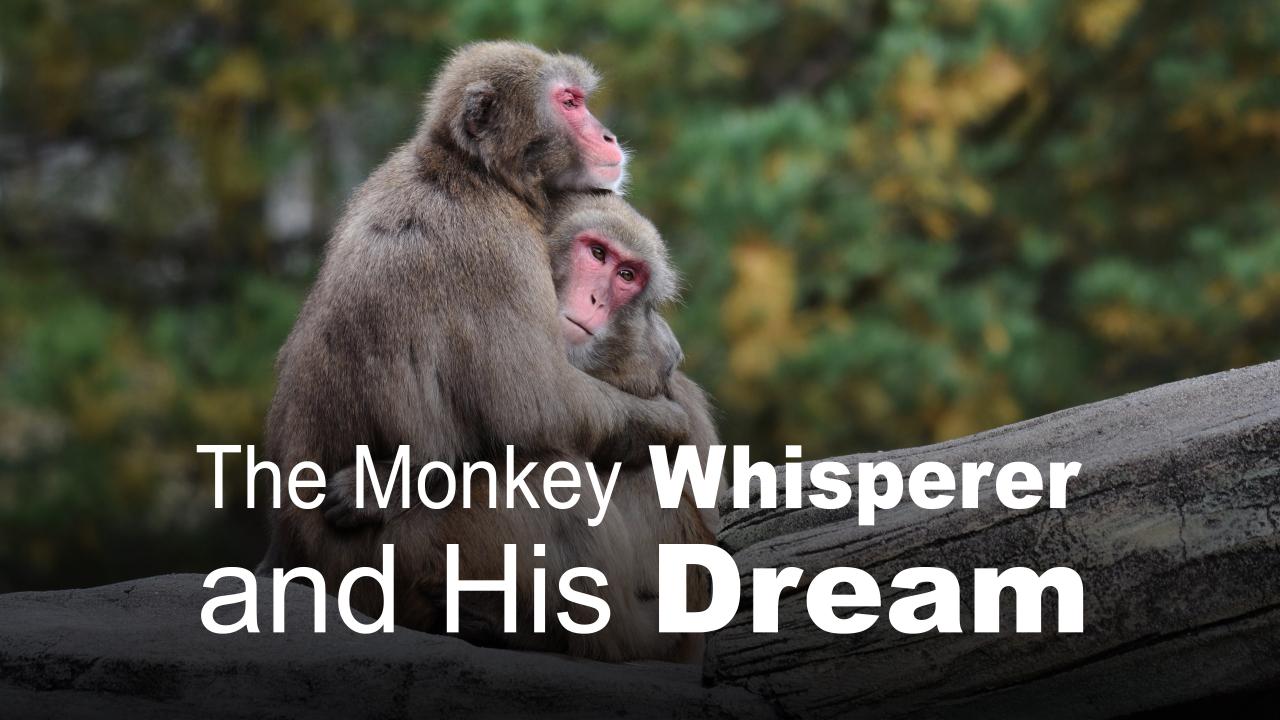 The Monkey Whisperer and His Dream