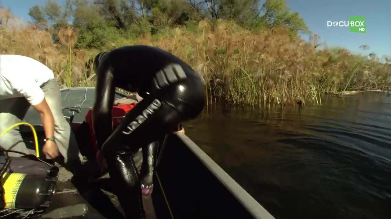 DIVING WITH CROCODILES