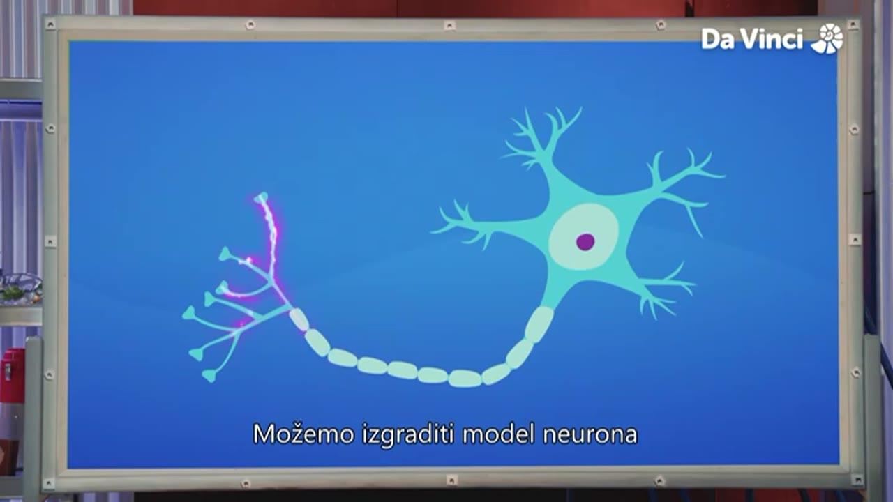 Eksplozija znanosti (Neuroni, neuroni, neuroni!) / 0