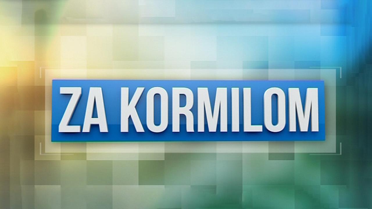 Za kormilom (64)