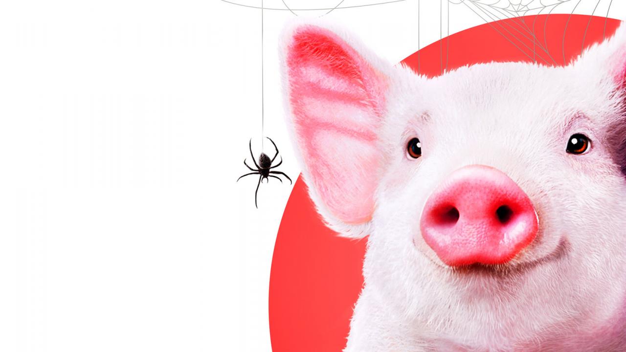 Charlotte’s Web