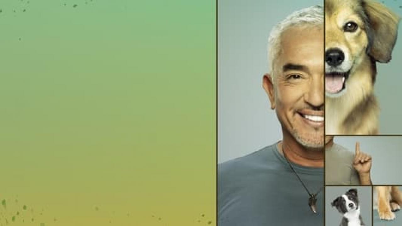 Cesar Millan: Bolji čovjek, bolji pas