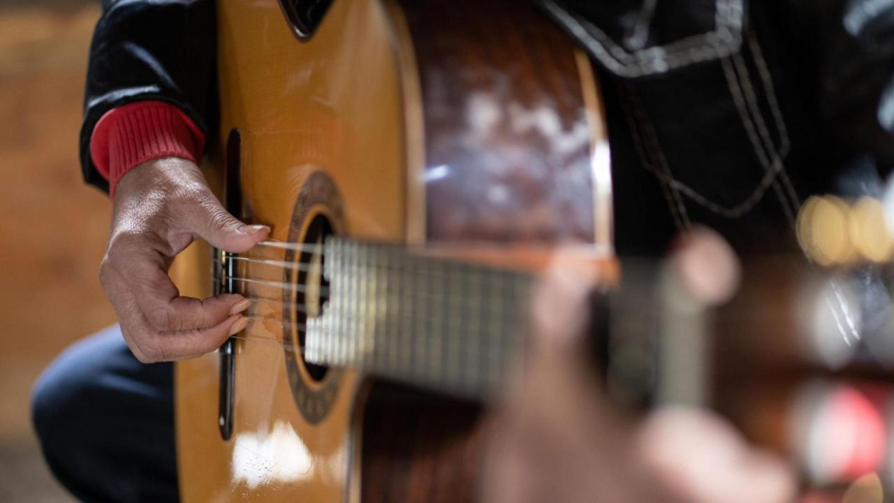 Jose Feliciano: Iza ove gitare