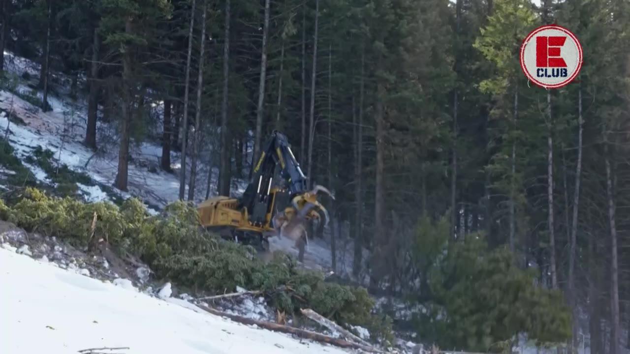 Vladari blatnih planina (Za ime Muddyjevo)