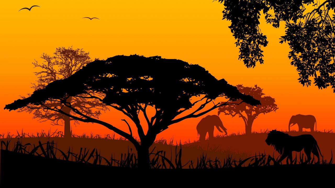 JOURNEYS IN AFRICA - SAFARI 101: TIPS FOR A SUCCESSFUL ADVENTURE