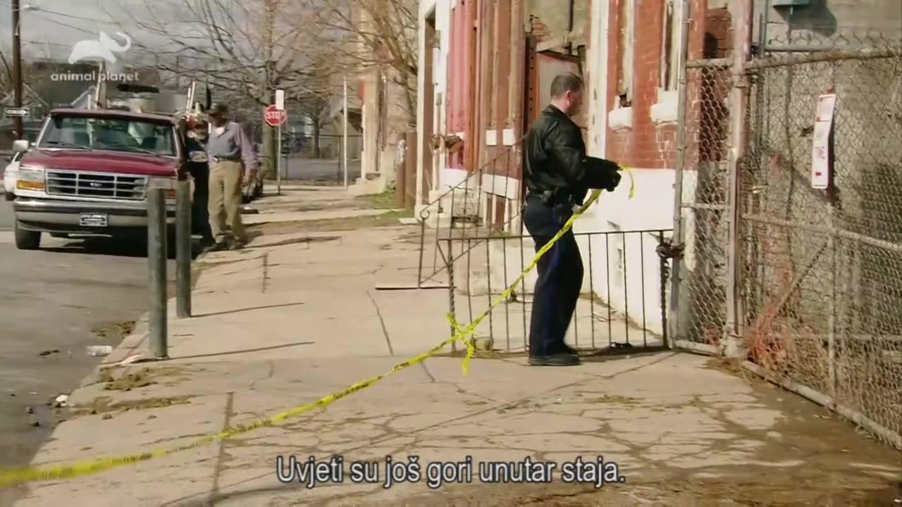 Policija za životinje - Philadelphia XII (Ponoćna racija)