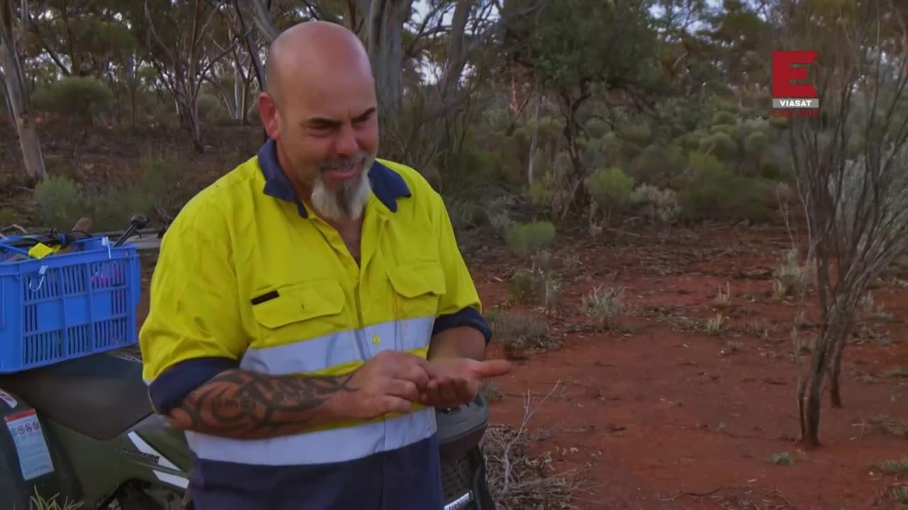 Australski lovci na zlato